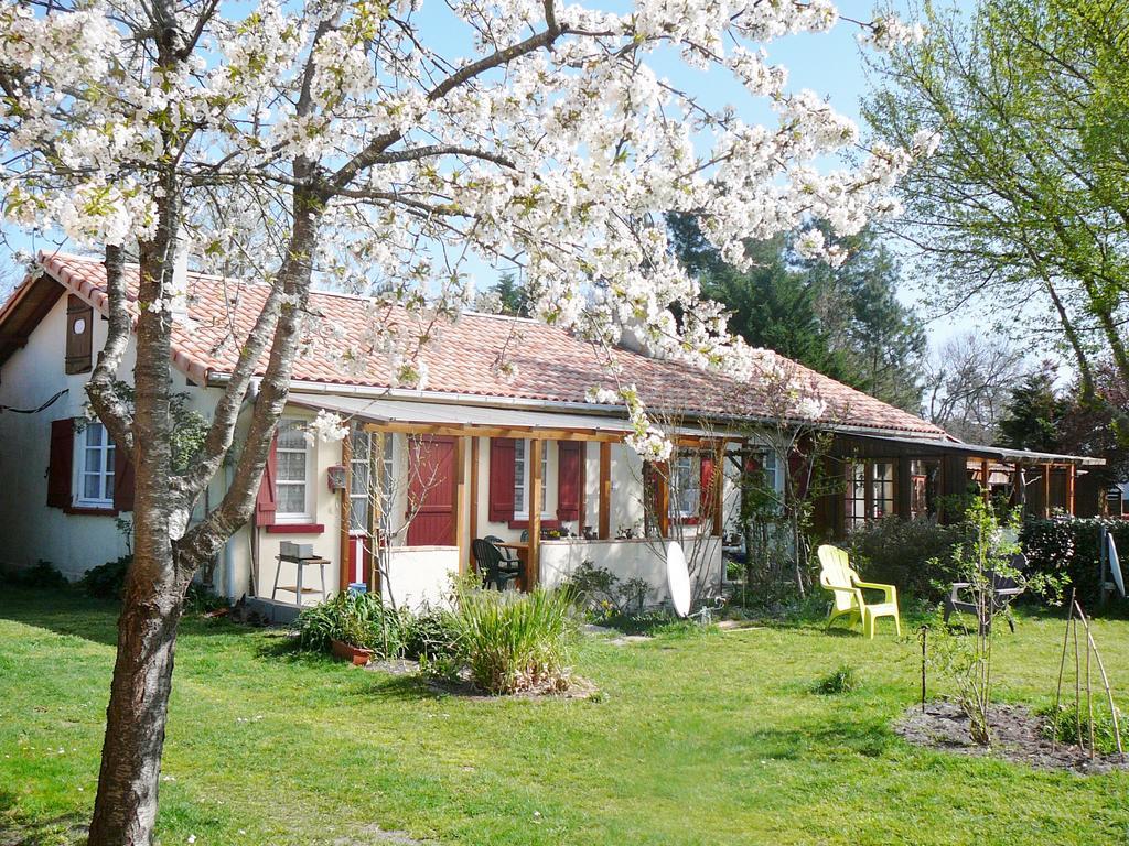 La Burle Maison d'hôtes Parentis-en-Born